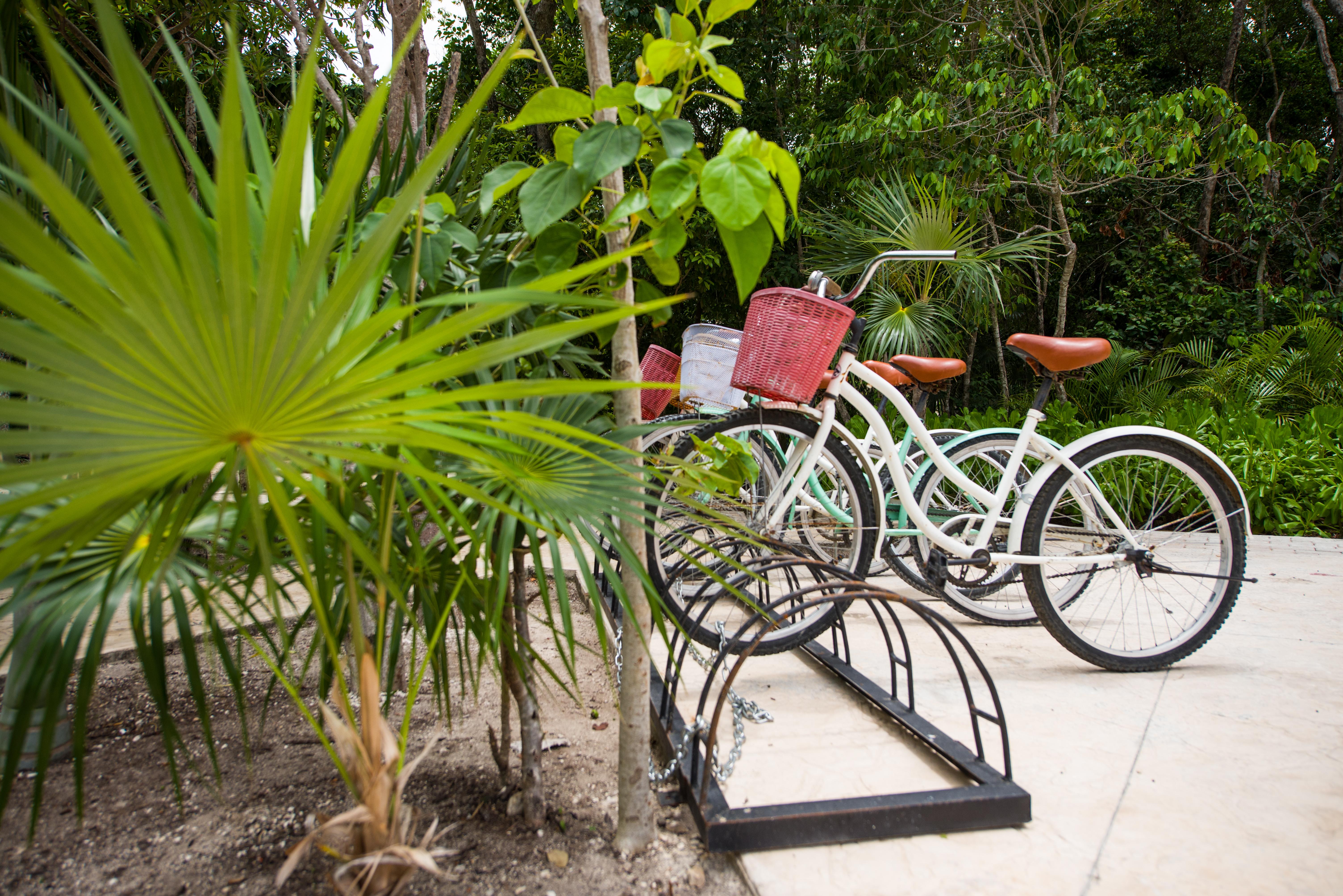 Naay Tulum Curamoria Collection Exteriér fotografie